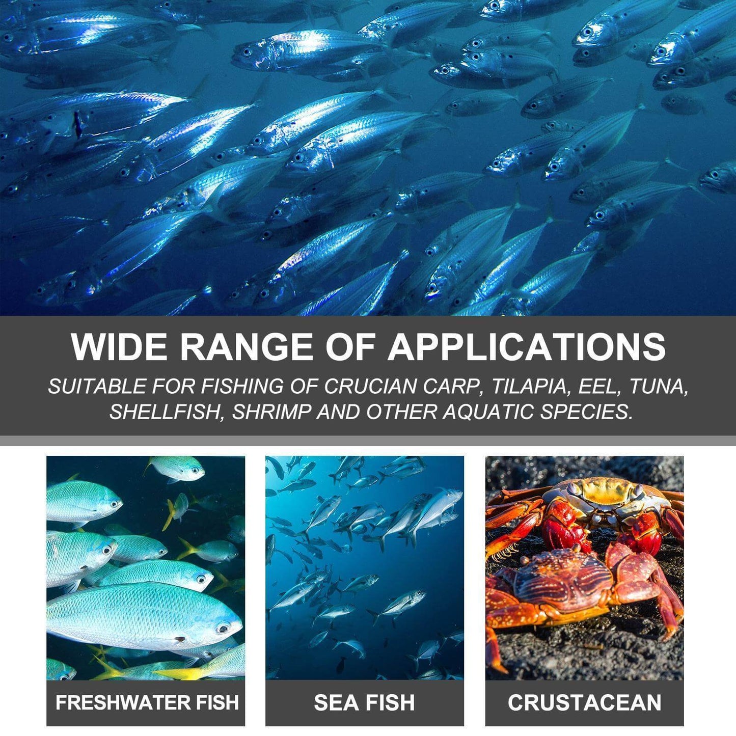 Nutrivibe Premium Corn Fish Bait is a portable, high-performance bait ideal for freshwater reservoirs, rivers, and lakes.