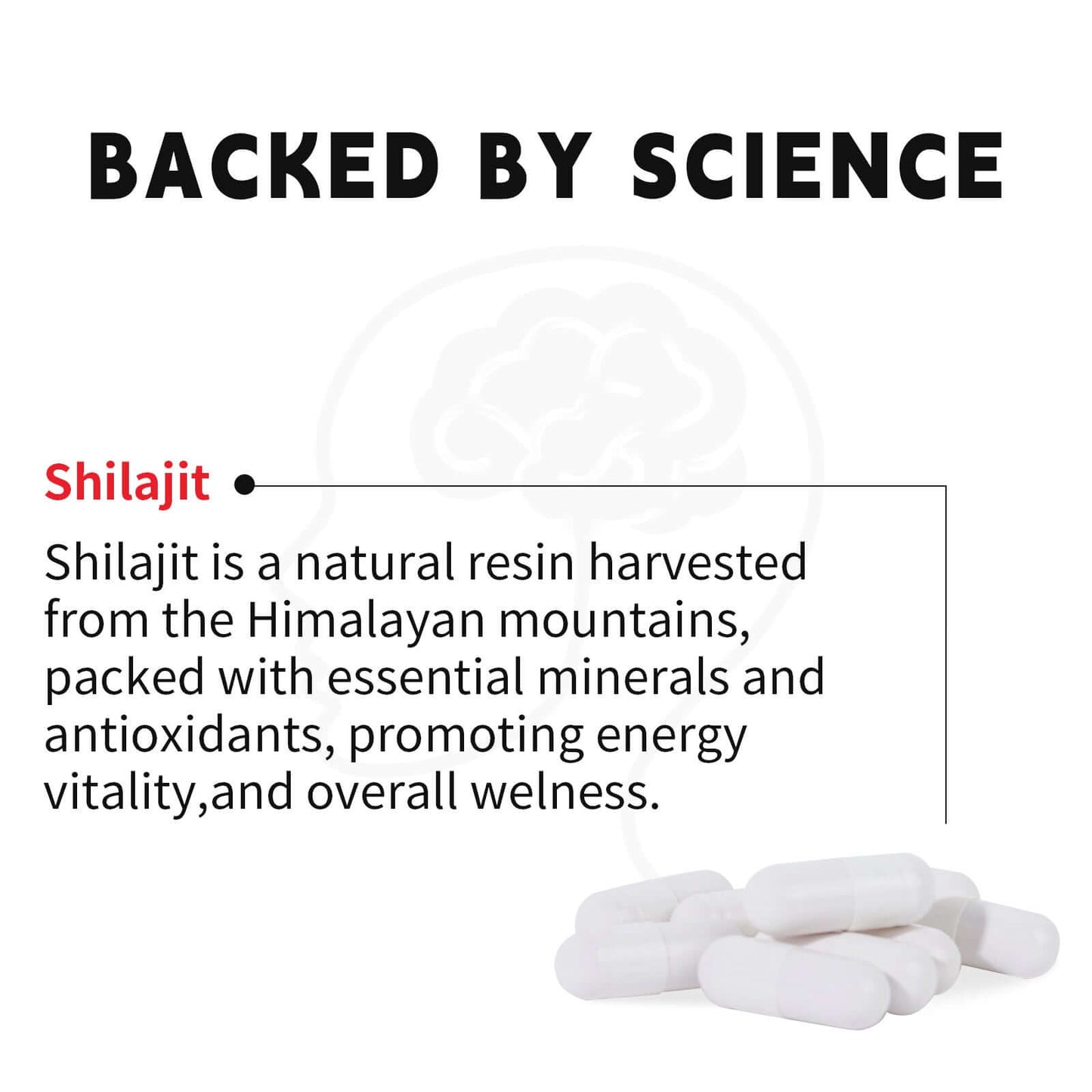 NUTRIVIBE Xilaizhi Capsules 750mg support wellness, energy, and daily vitality with natural herbal balance in 60 easy capsules.