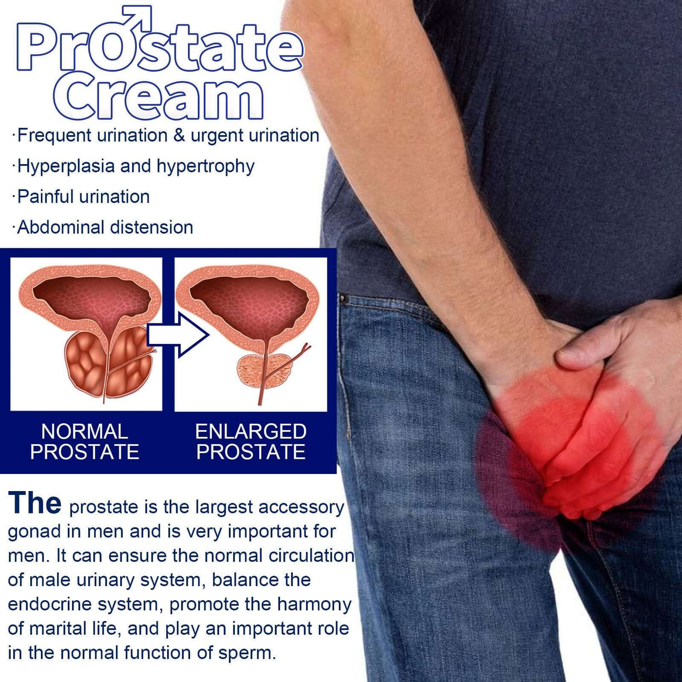 NUTRIVIBE Men’s Care Cream supports prostate comfort, strengthens kidney health, and enhances vitality with natural care.