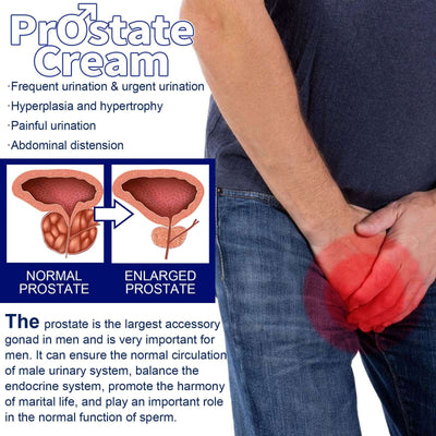 NUTRIVIBE Men’s Care Cream supports prostate comfort, strengthens kidney health, and enhances vitality with natural care.