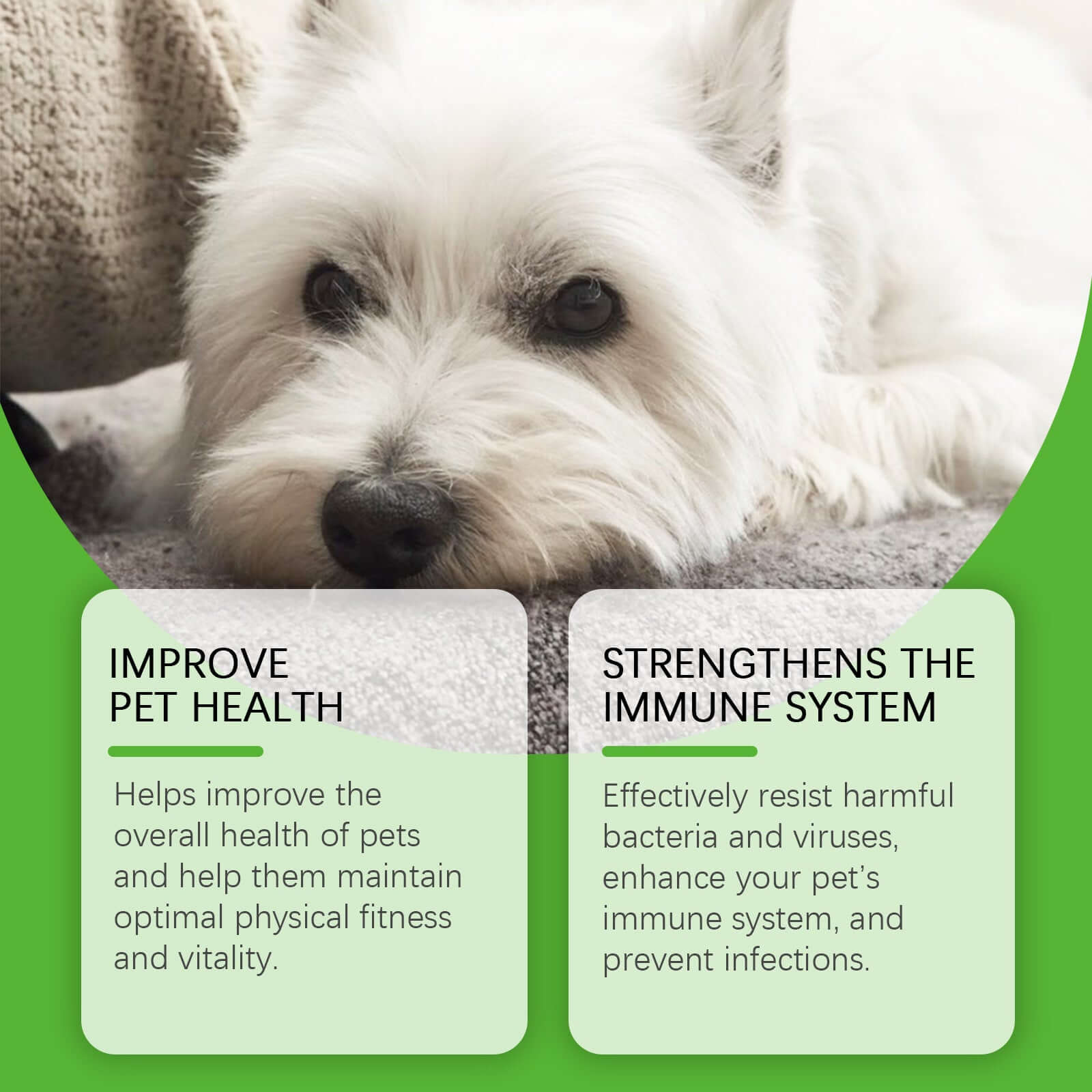 NUTRIVIBE Dietary Supplements for Pets and Dogs support energy, vitality, joint health, and overall wellness with natural, safe, and high-quality ingredients