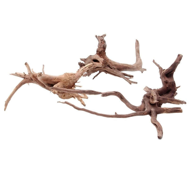 Nutrivibe Sunken Tree Root provides natural-looking landscaping, hiding spots, and aesthetic appeal for aquariums and fish tanks.