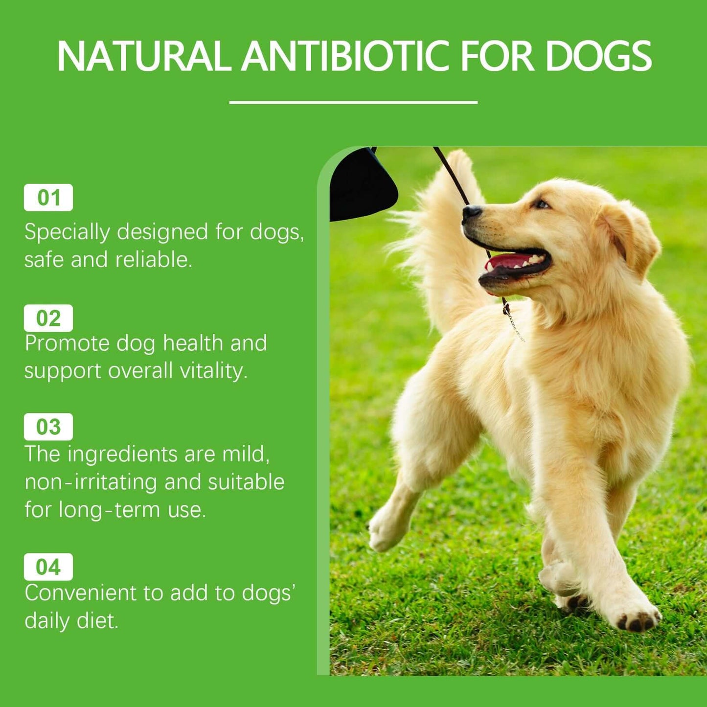 NUTRIVIBE Dietary Supplements for Pets and Dogs support energy, vitality, joint health, and overall wellness with natural, safe, and high-quality ingredients