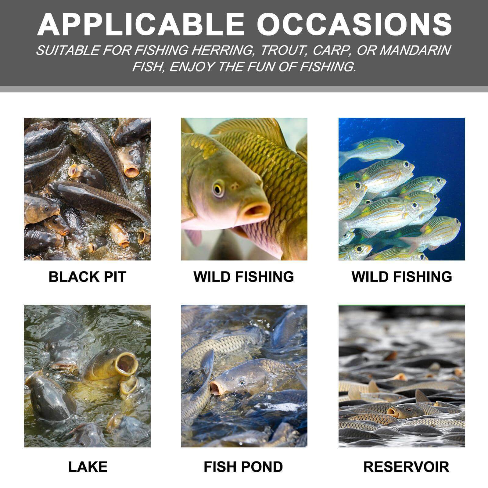 Nutrivibe Premium Corn Fish Bait is a portable, high-performance bait ideal for freshwater reservoirs, rivers, and lakes.