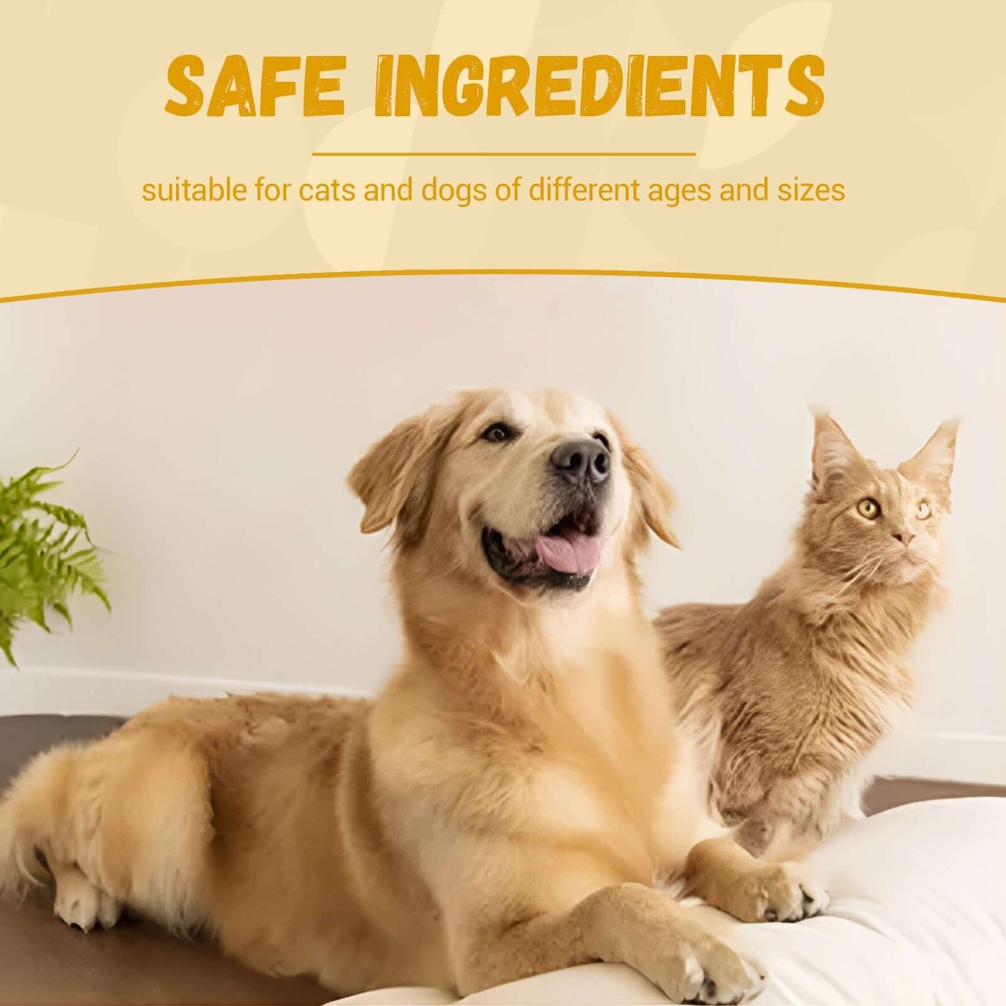NUTRIVIBE Pet Nutritional Supplements enhance energy, vitality, and overall wellness for pets with natural, safe, and high-quality ingredients for daily care.