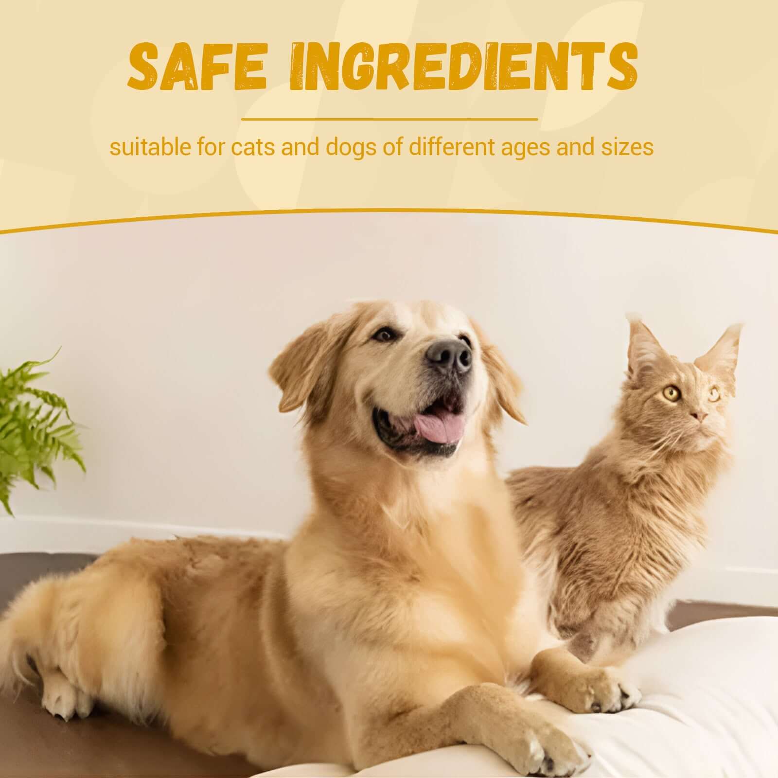 NUTRIVIBE Pet Nutritional Supplements enhance energy, vitality, and overall wellness for pets with natural, safe, and high-quality ingredients for daily care.
