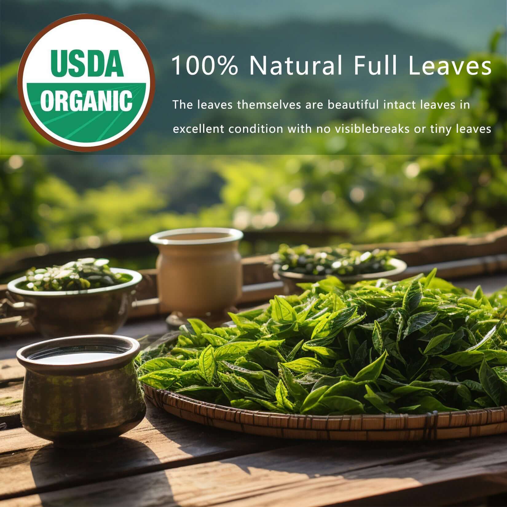 NUTRIVIBE Metabolic Health Drops support weight balance, boost energy, and promote natural metabolic wellness daily.