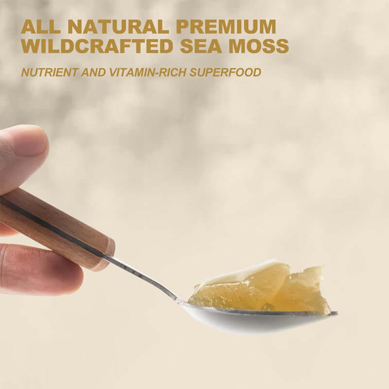 NUTRIVIBE Seaweed Cream provides vitamins and minerals to nourish skin, support overall wellness, and promote healthy daily care.