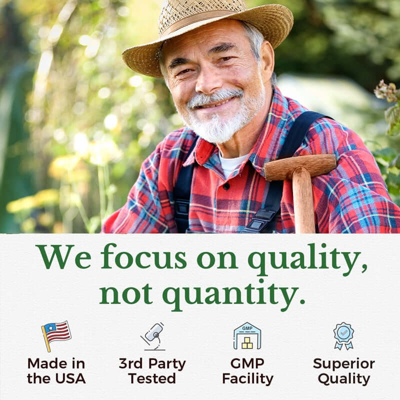 NUTRIVIBE Moringa Capsules provide antioxidant support, blood sugar balance, heart health, immune boost, and natural defense with daily superfood nutrition.