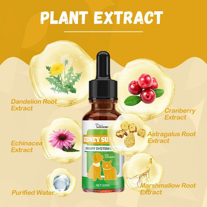 NUTRIVIBE Pet Nutritional Supplements enhance energy, vitality, and overall wellness for pets with natural, safe, and high-quality ingredients for daily care.