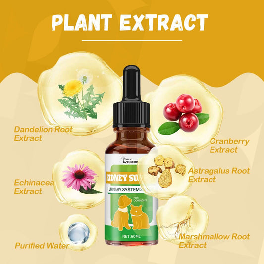 NUTRIVIBE Pet Nutritional Supplements enhance energy, vitality, and overall wellness for pets with natural, safe, and high-quality ingredients for daily care.