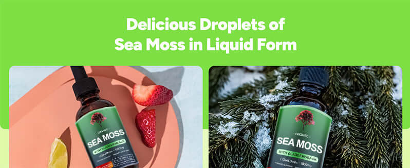 NUTRIVIBE Sea Moss Liquid Drops deliver immune support, digestive health, and natural energy in a fast-absorbing liquid form.