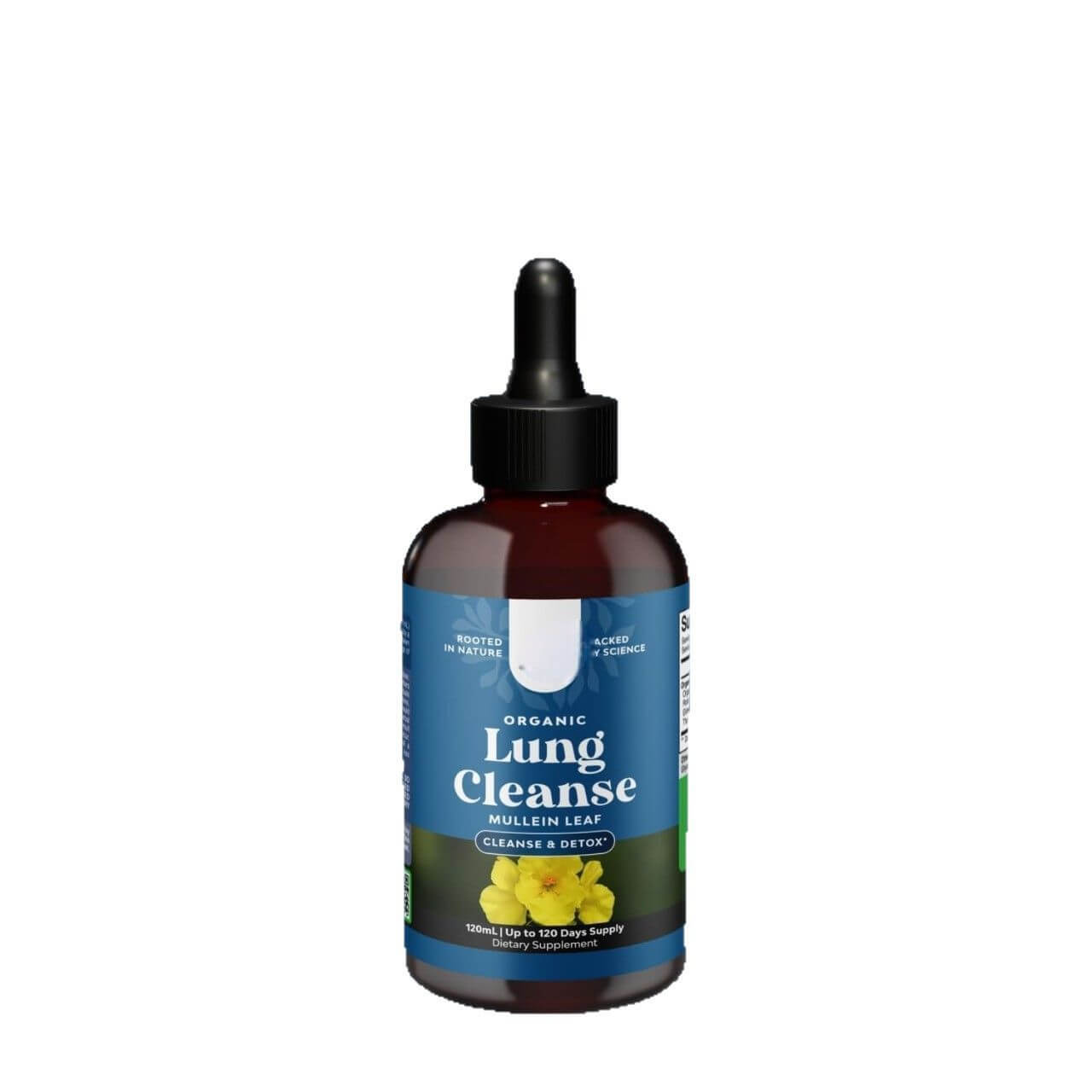 Support clear breathing with NUTRIVIBE Lung Cleanse Drops. Promotes lung health, detox, and daily respiratory wellness.