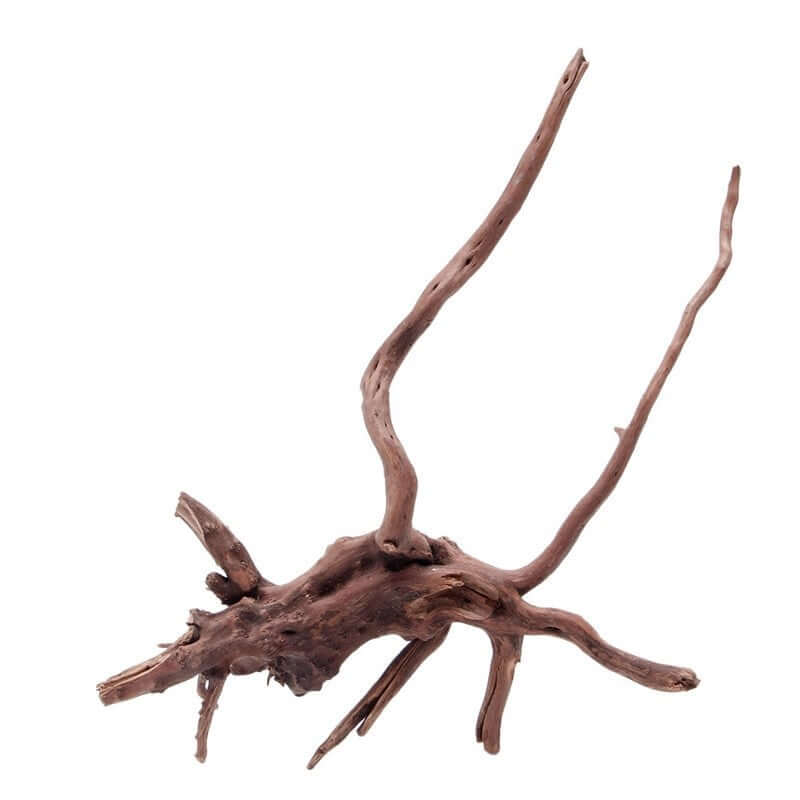 Nutrivibe Sunken Tree Root provides natural-looking landscaping, hiding spots, and aesthetic appeal for aquariums and fish tanks.