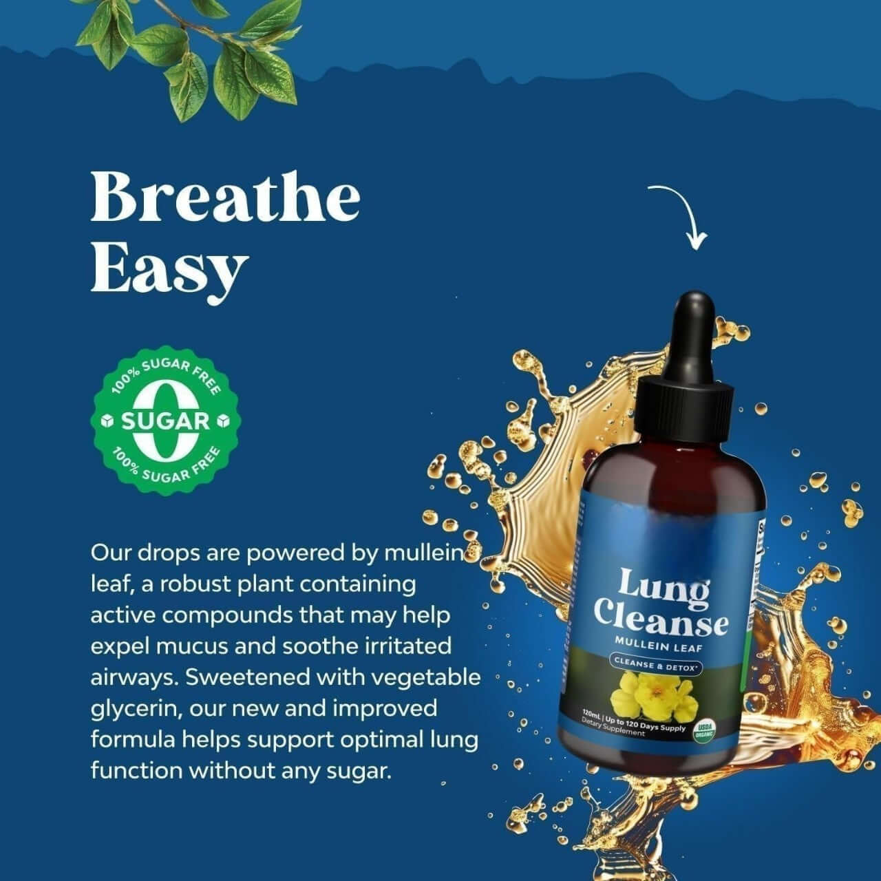 Support clear breathing with NUTRIVIBE Lung Cleanse Drops. Promotes lung health, detox, and daily respiratory wellness.