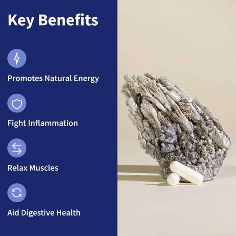 NUTRIVIBE Magnesium Supplements support sleep, anxiety relief, muscle relaxation, heart health, blood sugar balance, and cognitive function.