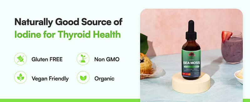 NUTRIVIBE Sea Moss Liquid Drops deliver immune support, digestive health, and natural energy in a fast-absorbing liquid form.