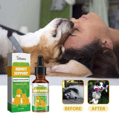 NUTRIVIBE Pet Nutritional Supplements enhance energy, vitality, and overall wellness for pets with natural, safe, and high-quality ingredients for daily care.