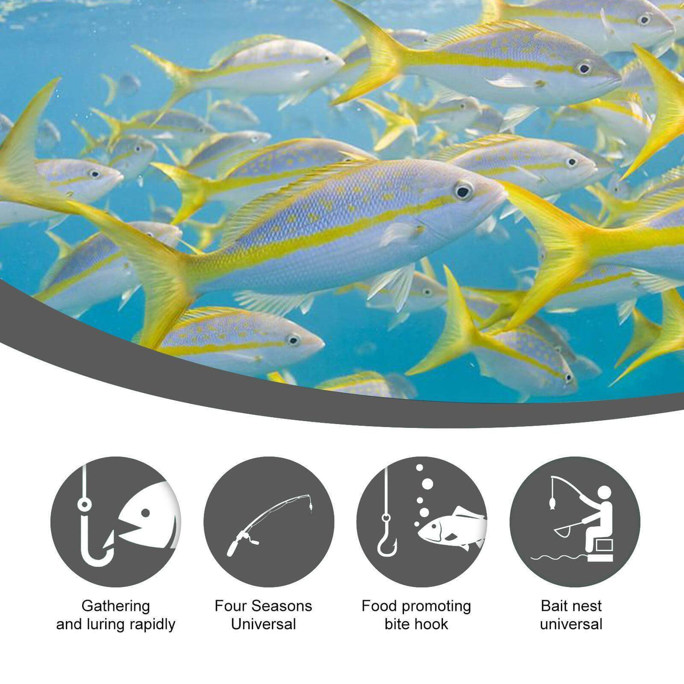 Nutrivibe Premium Corn Fish Bait is a portable, high-performance bait ideal for freshwater reservoirs, rivers, and lakes.