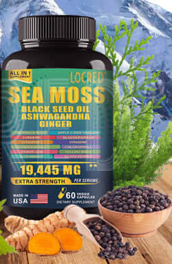 NUTRIVIBE Vitamin Capsules support energy, immunity & vitality with essential nutrients. Trust NUTRIVIBE for simple, effective daily nutrition.