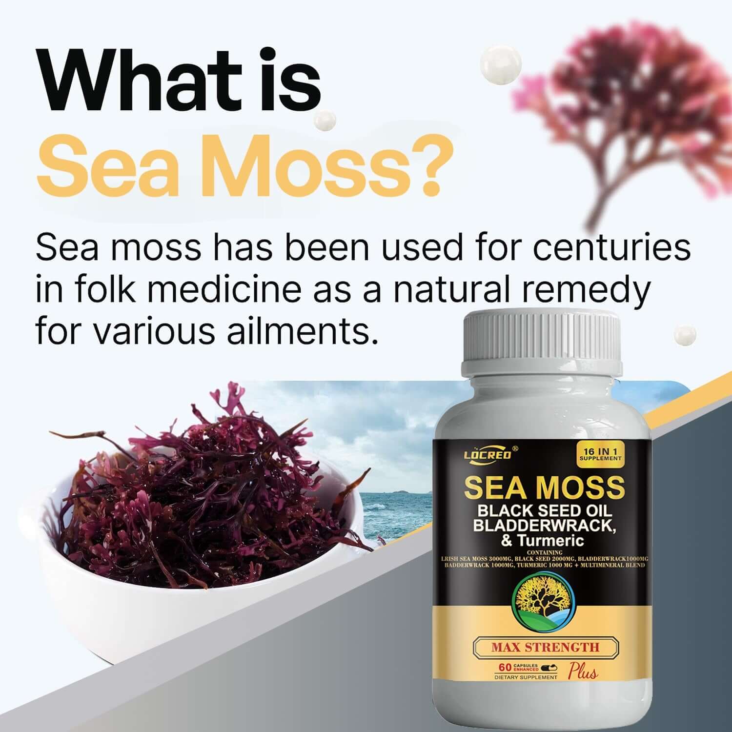 NUTRIVIBE 16-in-1 Sea Moss Capsule with black seed oil, bladder wrack, and turmeric supports joints, energy, and overall wellness.