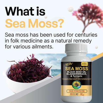NUTRIVIBE 16-in-1 Sea Moss Capsule with black seed oil, bladder wrack, and turmeric supports joints, energy, and overall wellness.