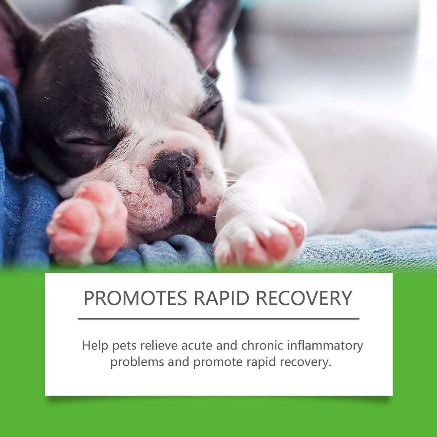 NUTRIVIBE Dietary Supplements for Pets and Dogs support energy, vitality, joint health, and overall wellness with natural, safe, and high-quality ingredients