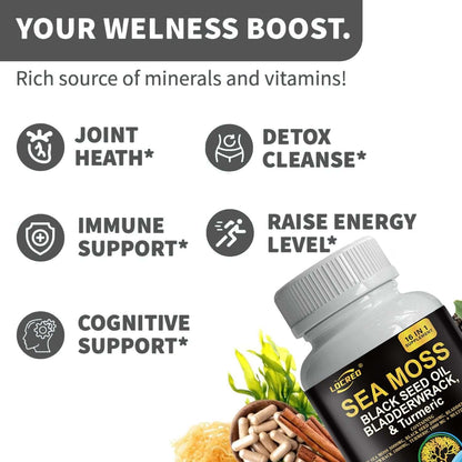 NUTRIVIBE 16-in-1 Sea Moss Capsule with black seed oil, bladder wrack, and turmeric supports joints, energy, and overall wellness.