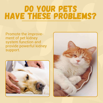 NUTRIVIBE Pet Nutritional Supplements enhance energy, vitality, and overall wellness for pets with natural, safe, and high-quality ingredients for daily care.