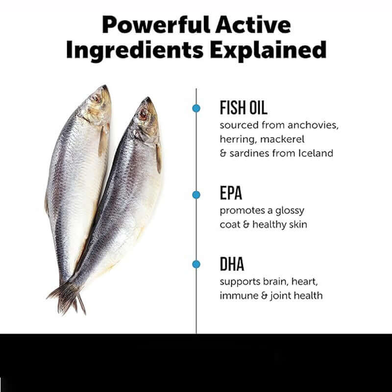 Nutrivibe Pet Salmon Fish Oil supports pets’ skin, coat, joint mobility, and overall vitality with natural omega-3s.